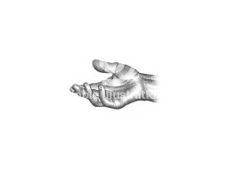 hand icon